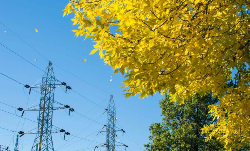 žlutý strom s elektrárnou